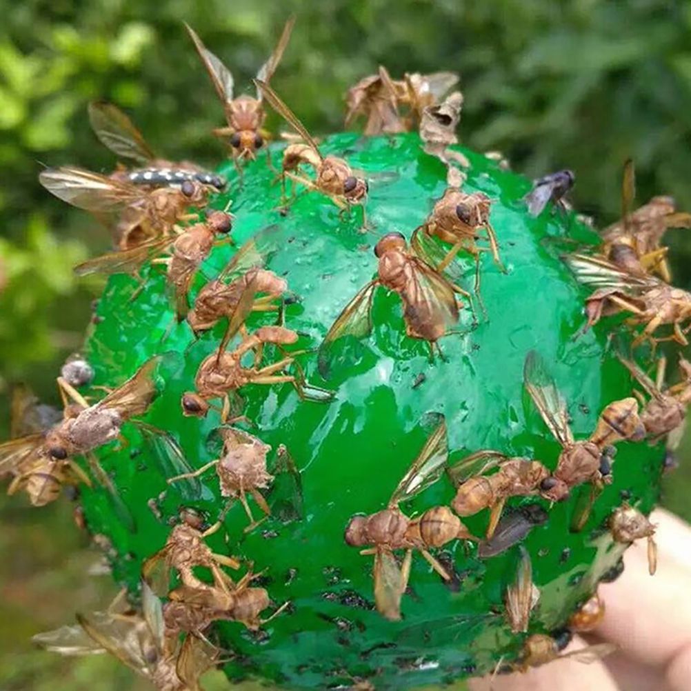 4pcs Hanging Fly Trap Ball Fruit Fly Catcher Sticky Trap Outdoor Pest Catcher for Garden Plants
