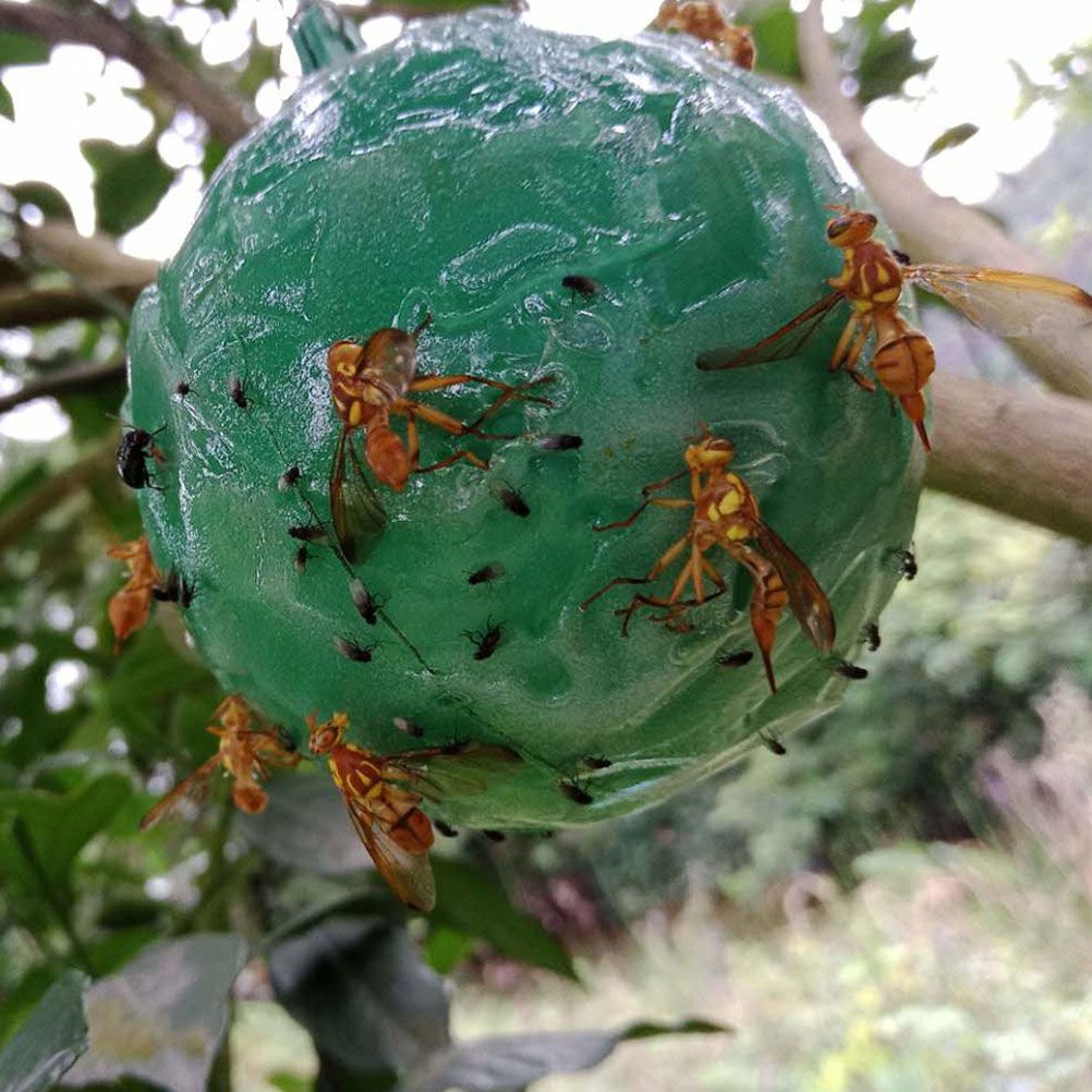 4pcs Hanging Fly Trap Ball Fruit Fly Catcher Sticky Trap Outdoor Pest Catcher for Garden Plants