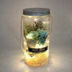 Romantic Eternal Rose Never Withered Rose Night Light Wishing Bottle Preserved Flowers Soap Rose Flower Glass Wishing Bottle