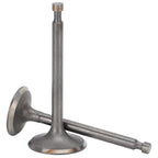 Valve Set Intake Exhaust Valves Replacement Parts for Gasoline Engine Generator 190F/GX420
