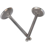 Valve Set Intake Exhaust Valves Replacement Parts for Gasoline Engine Generator 190F/GX420