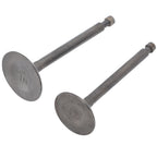 Valve Set Intake Exhaust Valves Replacement Parts for Gasoline Engine Generator 190F/GX420