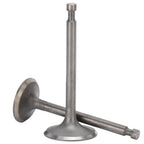 Intake Exhaust Valves Motor Replacement Part Accessory Fit for 188F/GX390 Generator