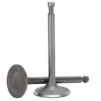 Intake Exhaust Valves Motor Replacement Part Accessory Fit for 188F/GX390 Generator