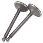 Intake Exhaust Valves Motor Replacement Part Accessory Fit for 188F/GX390 Generator