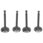 2 Set Intake Exhaust Valve Kit 168F Cylinder Head GX160/GX200 2-2.5kw Gasoline Generator Parts