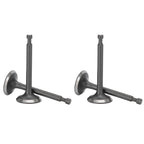 2 Set Intake Exhaust Valve Kit 168F Cylinder Head GX160/GX200 2-2.5kw Gasoline Generator Parts