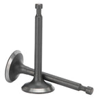 2 Set Intake Exhaust Valve Kit 168F Cylinder Head GX160/GX200 2-2.5kw Gasoline Generator Parts