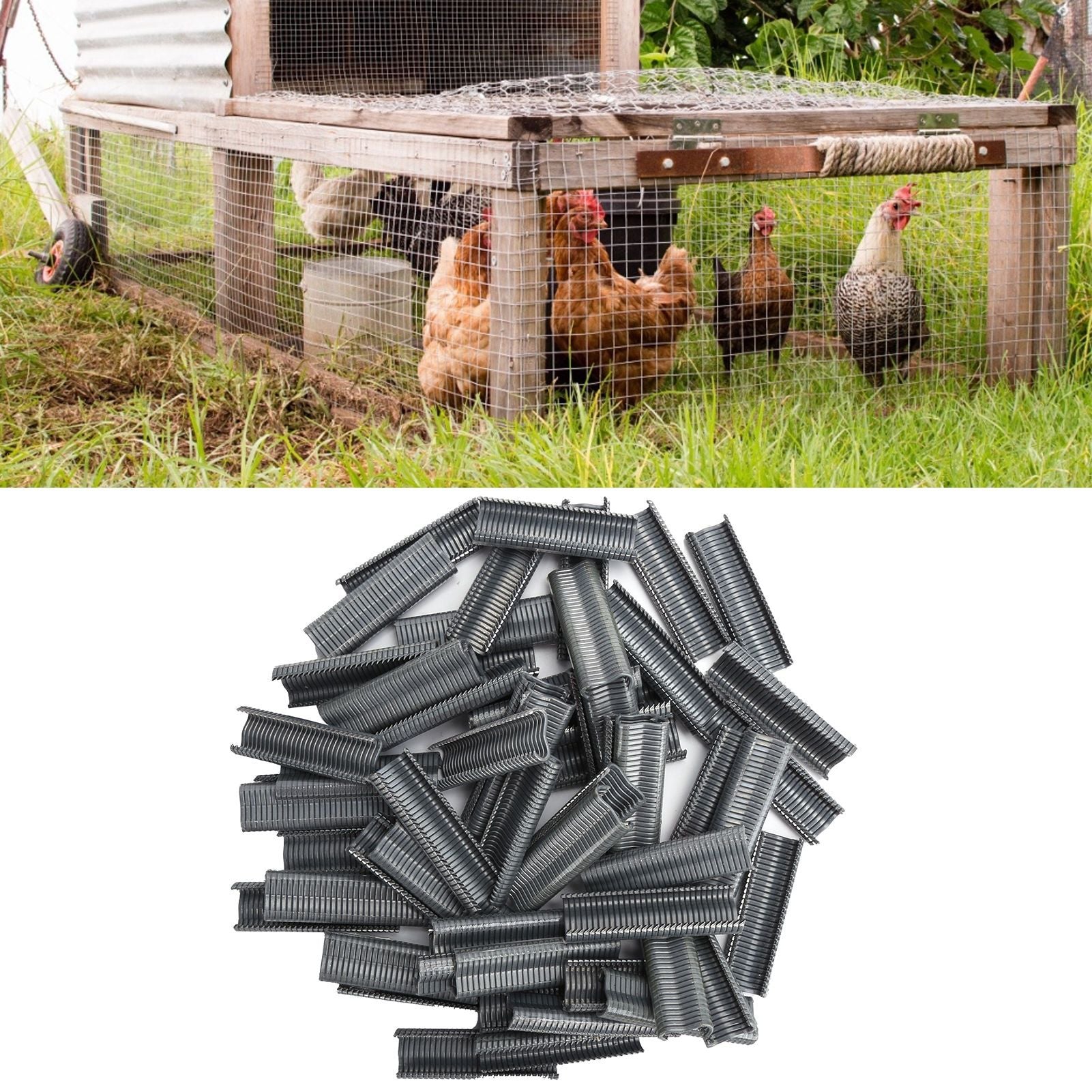 1800pcs M Nails Practical Repairing Tool Accessory for Rabbit Chicken Pigeons Foxes Cages