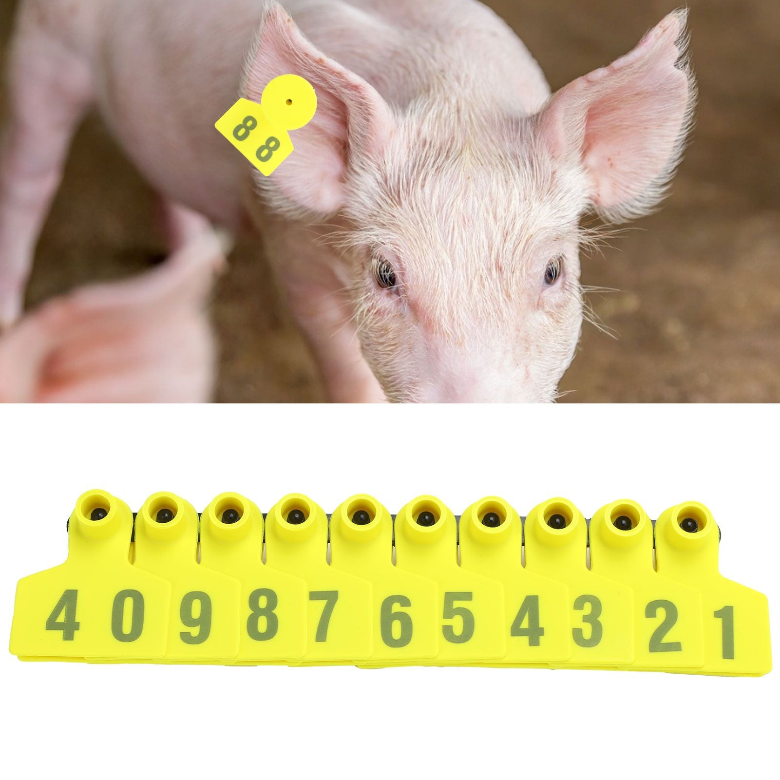 No.001‑100 Farm Pig Ear Tag Livestock Ear Tag Labels Set Poultry Breeding Supplies