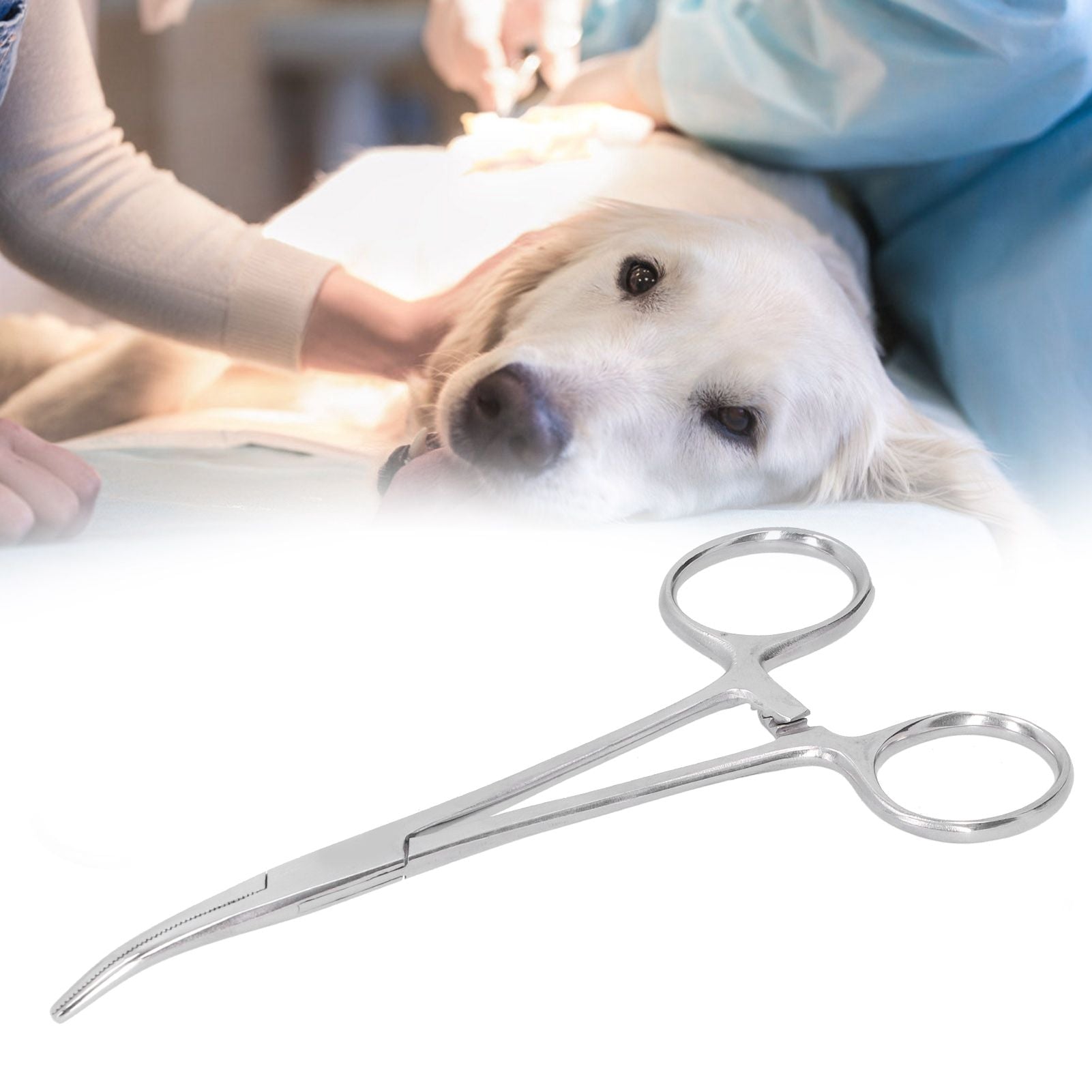 Hemostatic Forceps 14cm Stainless Steel Curved Tip Pliers Pet Hair Tweezers Livestock Supply