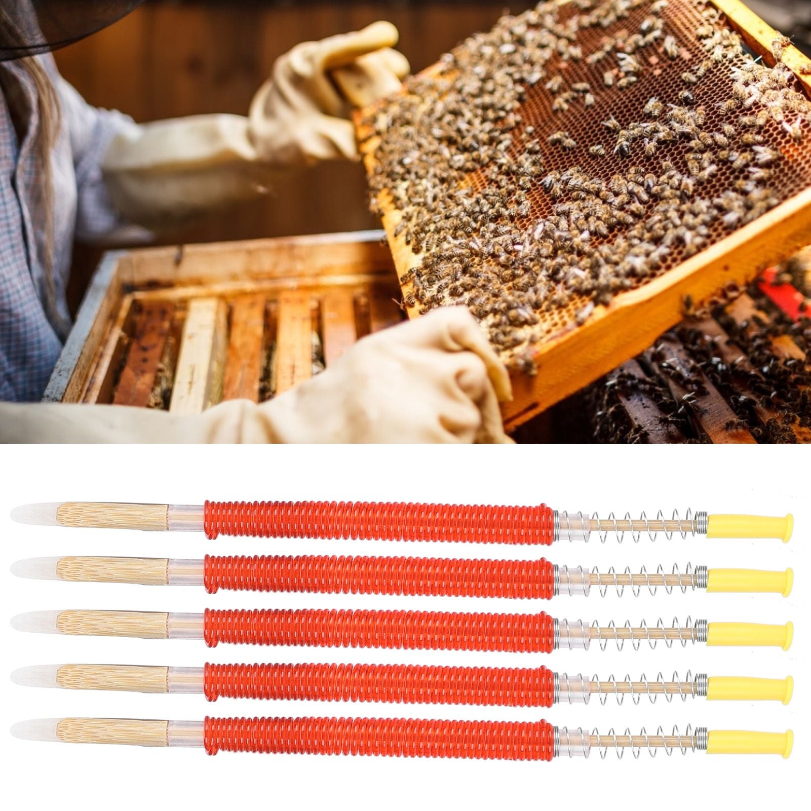 25Pcs Beekeeping Larvae Grafting Needle Bee Queen Rearing Tool Apiculture Equipment