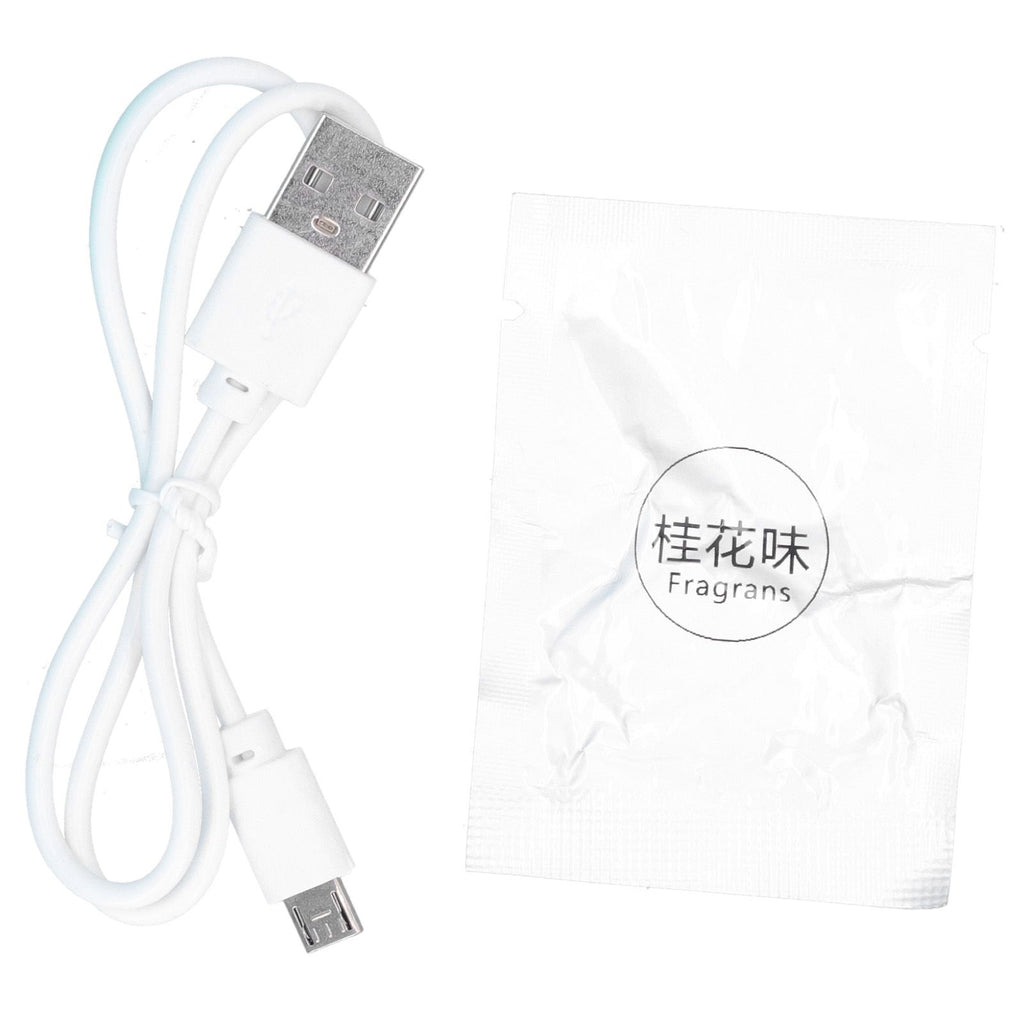 Mini Handheld Fan Desktop Portable USB Rechargeable Fan for Home Office with Aromatherapy Tablets