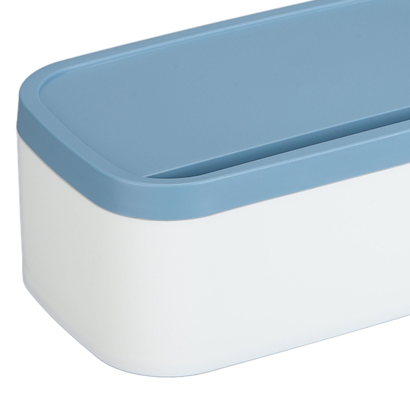 Portable Storage Box Reusable Dustproof Mouth Muffle Face Cover Organizer High Capacity for Home SchoolBlue