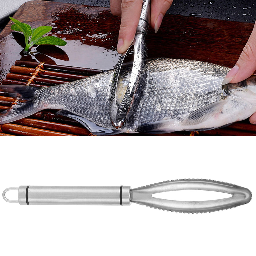 Fish Scaler Stainless Steel Fish Scraper Fish Scale Remover Scraping Removing Tool Kitchen Tool