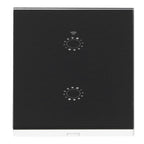 LED Smart Light Switch WiFi Wall Touch 2 Gang for Amazon Alexa Intelligent Voice APP Control AC 95‑250VBlack Cover