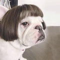 Dog Wig Pet Costumes Pet Headwear Hair Costumes for Festival Cosplay Party