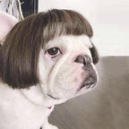 Dog Wig Pet Costumes Pet Headwear Hair Costumes for Festival Cosplay Party