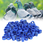 100Pcs Bird Foot Rings Bands 10mm 001-100 Numbered Pigeons Identify Clip Poultry SupplyBlue