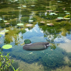 Floating Duck Decoy Simulation Hunting Duck Garden Pool Yard Lake Decoration 26x11.5cmMale