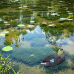 Floating Duck Decoy Simulation Hunting Duck Garden Pool Yard Lake Decoration 26x11.5cmFemale