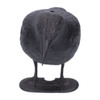 Simulation Plastic Crow Statue Hunting Bait Decoys Tool for Outdoor Garden Decoration