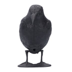 Simulation Plastic Crow Statue Hunting Bait Decoys Tool for Outdoor Garden Decoration