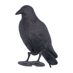 Simulation Plastic Crow Statue Hunting Bait Decoys Tool for Outdoor Garden Decoration