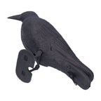 Simulation Plastic Crow Statue Hunting Bait Decoys Tool for Outdoor Garden Decoration