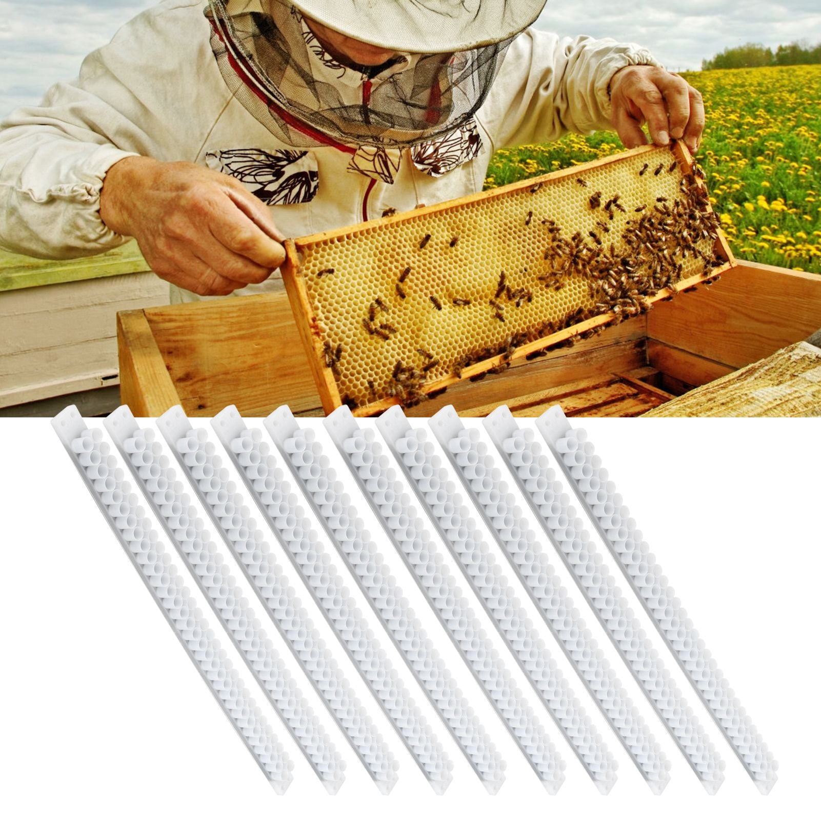 10Pcs Bee Royal Jelly Cups Sheet Bee Rearing Breeding Equipment Beekeeping Accessory