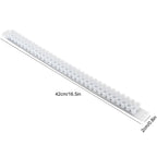 10Pcs Bee Royal Jelly Cups Sheet Bee Rearing Breeding Equipment Beekeeping Accessory