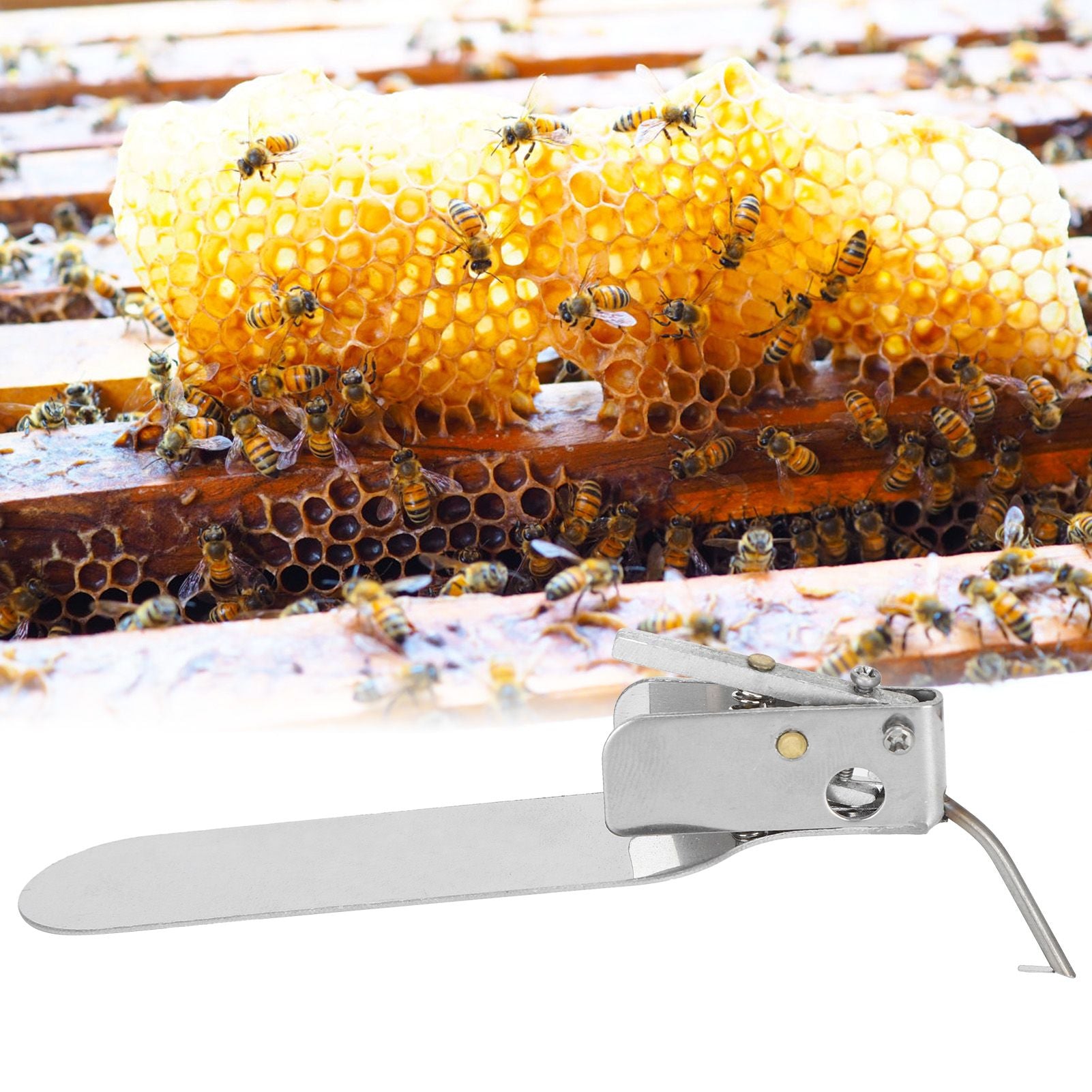 Beekeeping Grafting Tool SingleEnd Queen Bee Larva Grafting Needle Transferring Tool