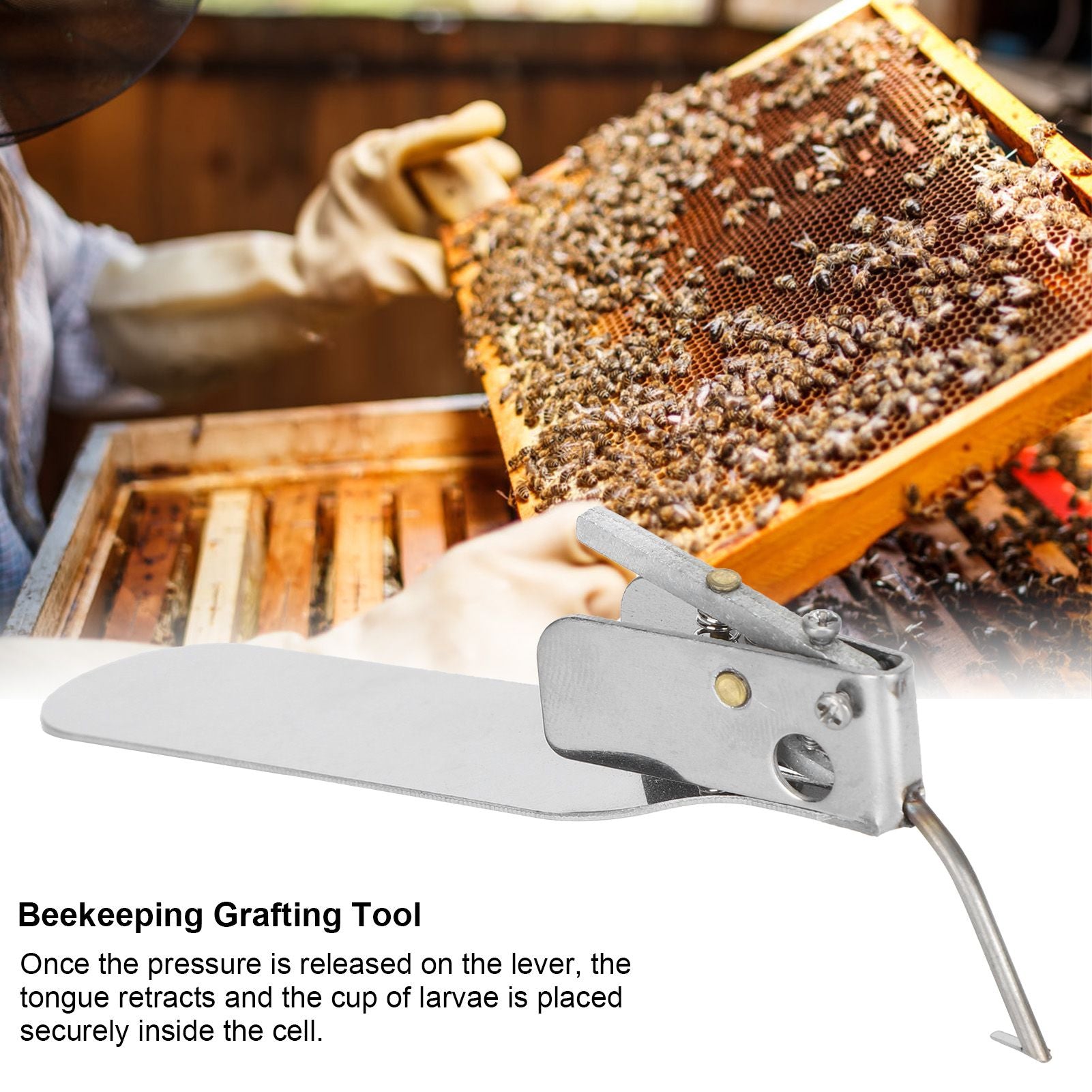 Beekeeping Grafting Tool SingleEnd Queen Bee Larva Grafting Needle Transferring Tool