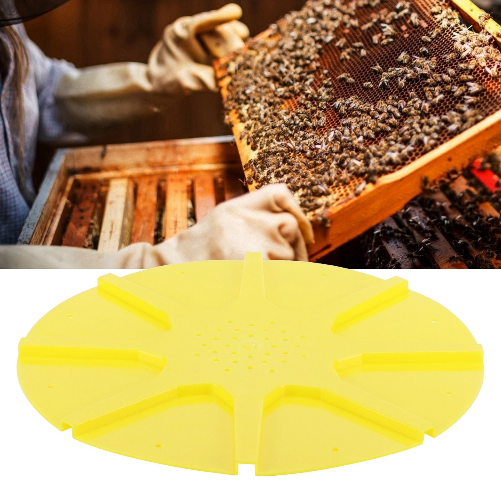 8 Way Circular Beehive Door Exit Disc Anti Escape Guard Device Beekeeping Accessory