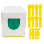 Queen Bee Mating Box Pollination Box Foam Frames Beekeeping Tool Beekeeping Equipment