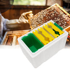 Queen Bee Mating Box Pollination Box Foam Frames Beekeeping Tool Beekeeping Equipment