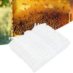 10Pcs Beehive Beetles Trap Catcher Broodlings Catching Tools Beekeeping Supplies