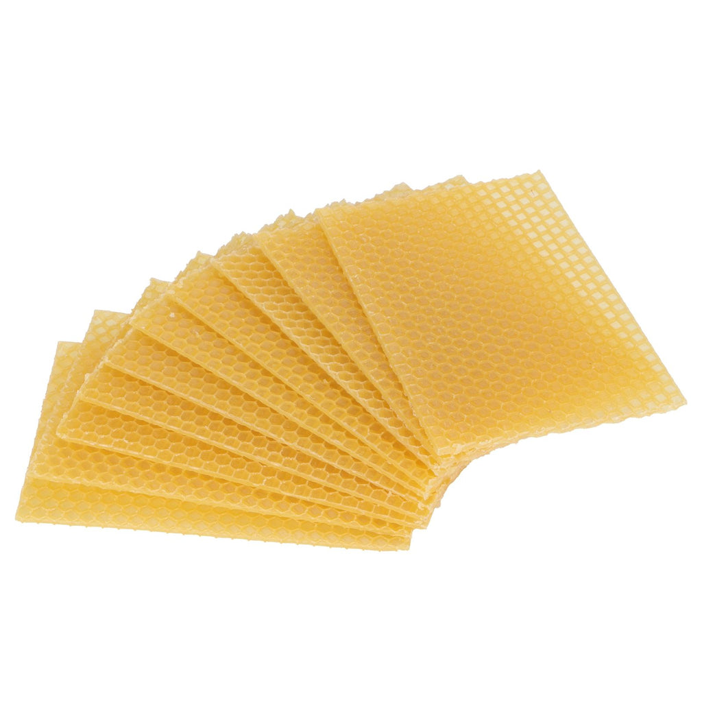10Pcs Beekeeping Beeswax Foundation Beehive Wax Frame for Furniture Floor Polishing