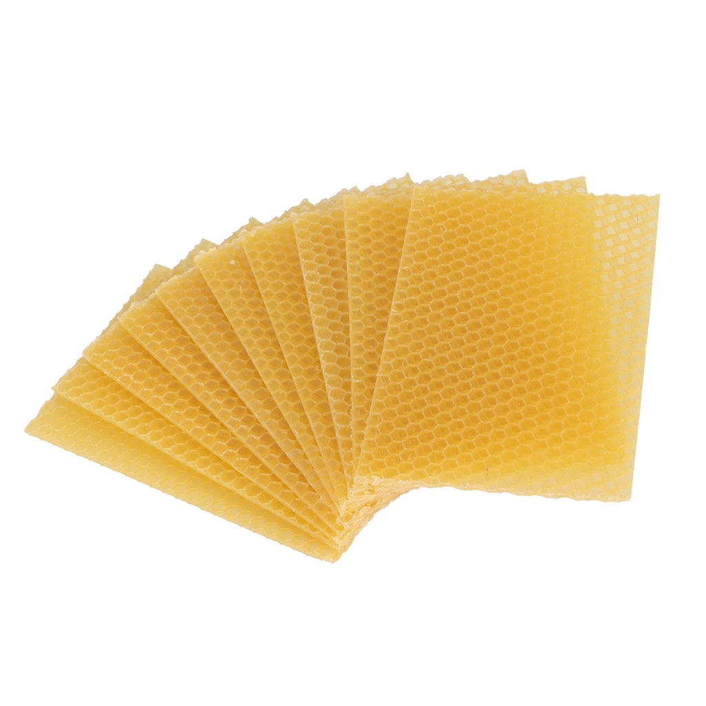 10Pcs Beekeeping Beeswax Foundation Beehive Wax Frame for Furniture Floor Polishing