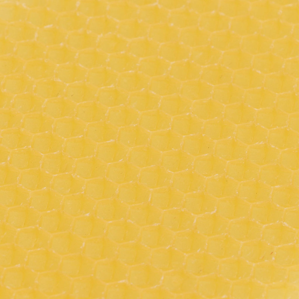 10Pcs Beekeeping Beeswax Foundation Beehive Wax Frame for Furniture Floor Polishing