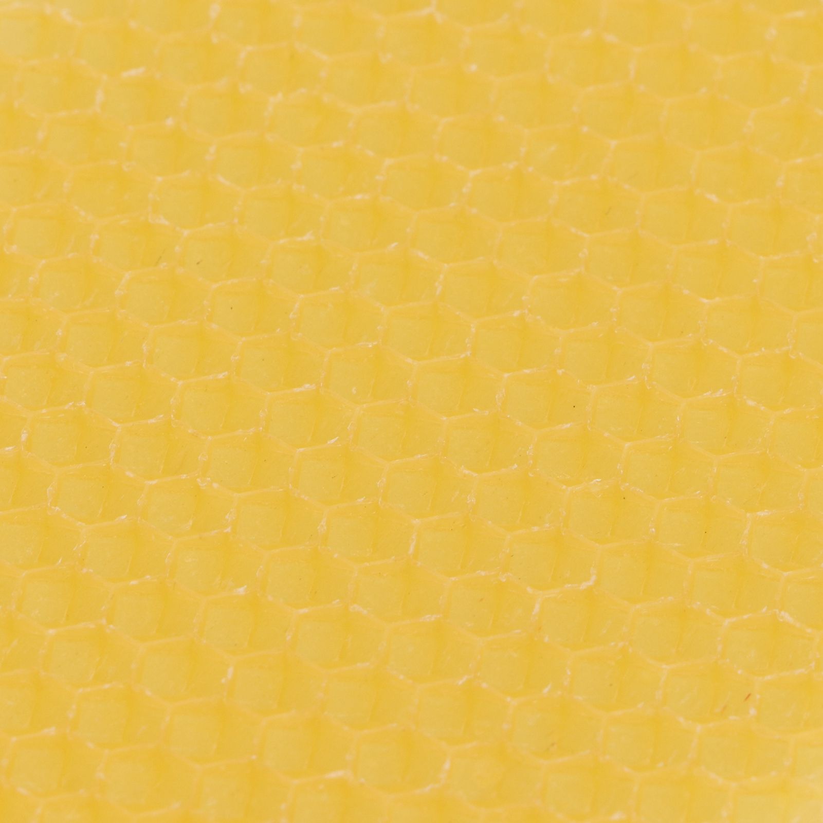 10Pcs Beekeeping Beeswax Foundation Beehive Wax Frame for Furniture Floor Polishing
