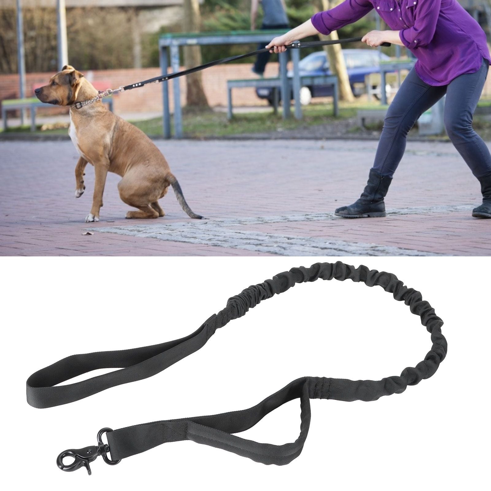 Dog Leash Telescopic Waterproof Nylon Traction Rope Outdoor Training Pulling Strap