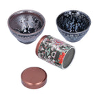 Ceramic Kung Fu Tea Set Tea Canister with Tea Cup for Home Tea House Gift Tea Accessory
