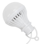 Portable USB LED Energy Saving Lamp Bulb LED Emergency Light for Outdoor Camping 5V 7W