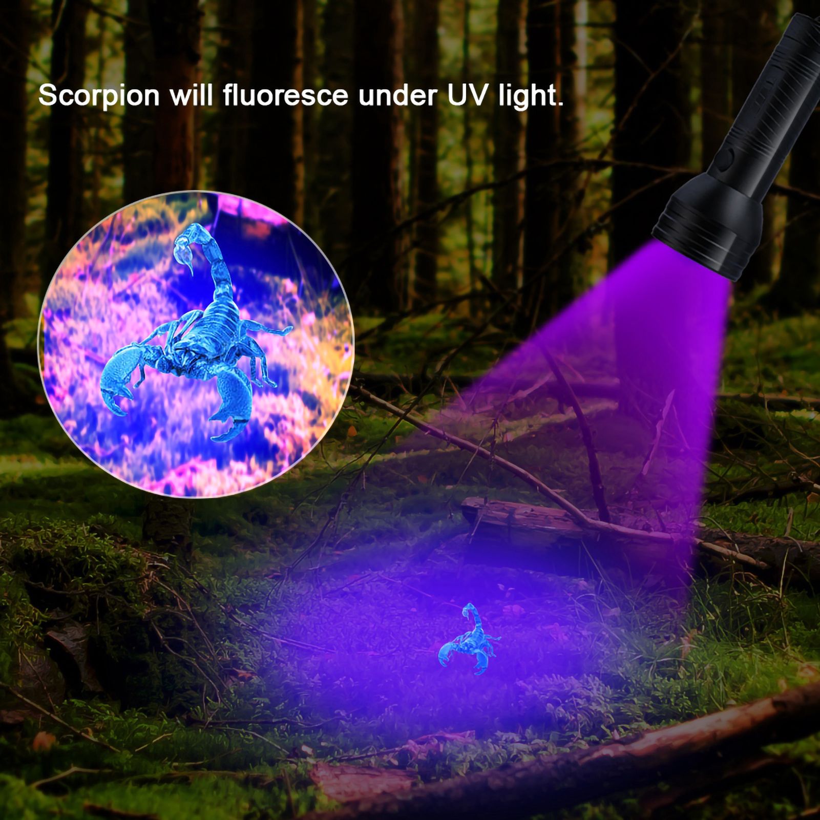 Pet Urine Detector Light Handheld UV Black Light Flashlight Portable Dog Cat Urine Carpet Detec