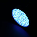 UV Flashlight Pet Stain Urine Detector Bright 100 LEDs Blacklight Torch with UV Sunglasses for