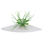 3Pcs Floating Corner Shelf Wall Mounted Storage Rack Bookshelves Home Furniture Office Decor