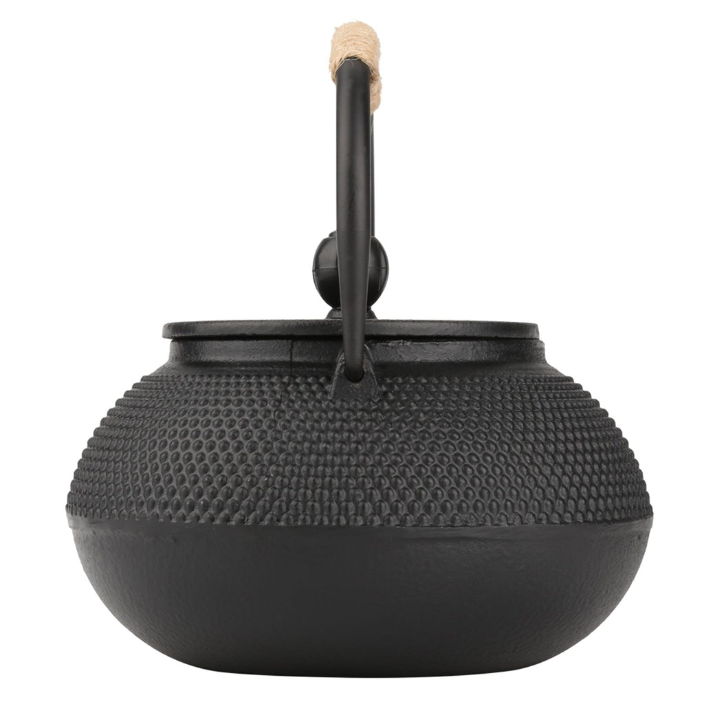 800ml Japanese Style Cast Iron Kettle Teapot Removable Infuser Strainer Tea Pot