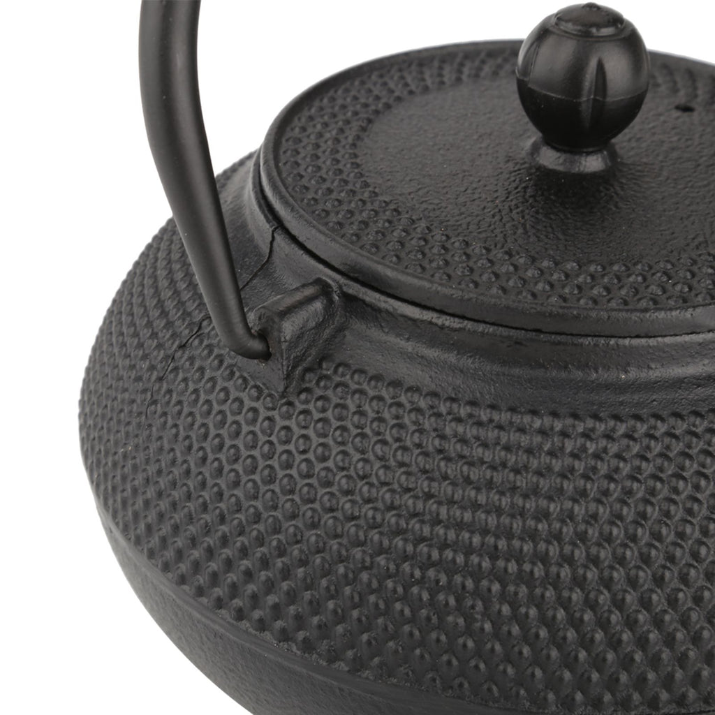 800ml Japanese Style Cast Iron Kettle Teapot Removable Infuser Strainer Tea Pot