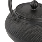 800ml Japanese Style Cast Iron Kettle Teapot Removable Infuser Strainer Tea Pot